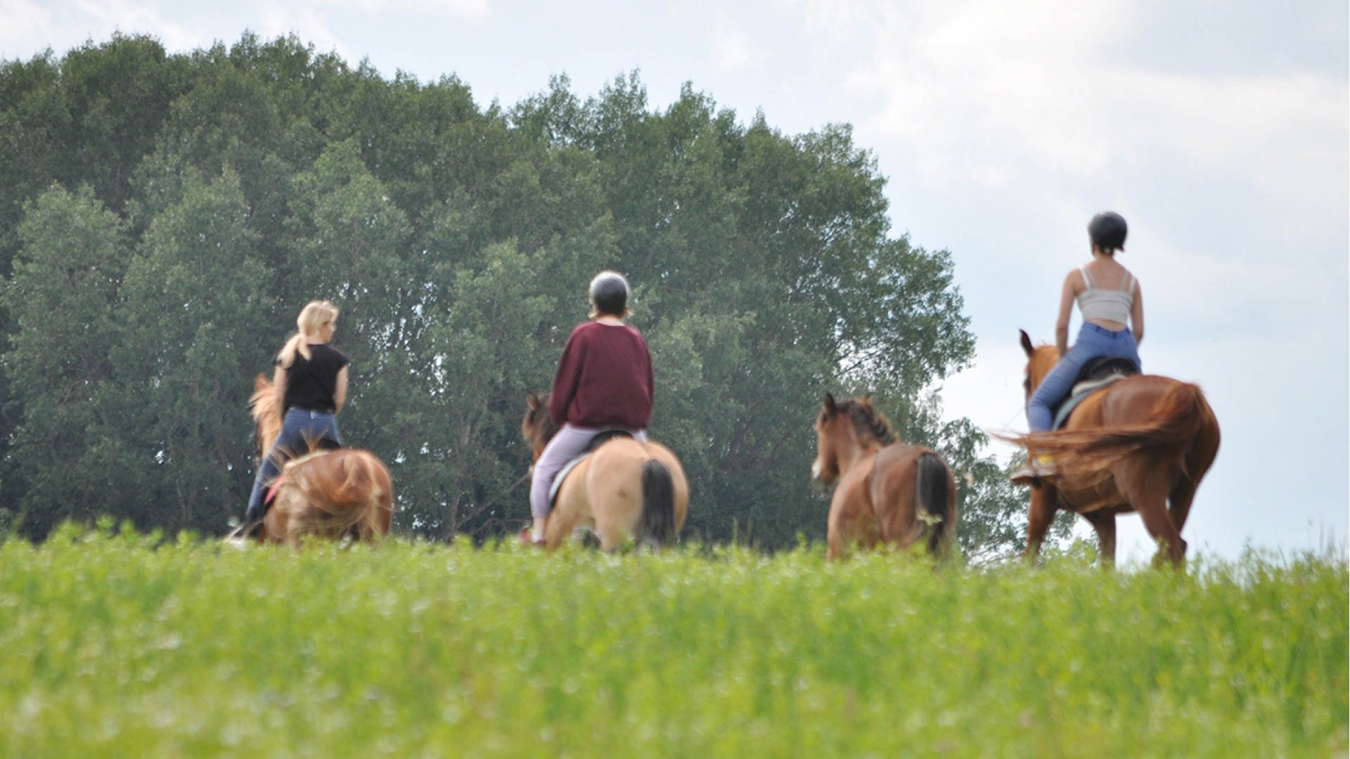Вольное | конно-туристический клуб